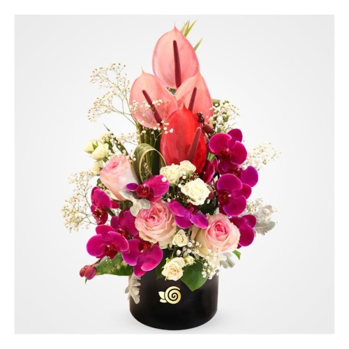 Orchid Flower Box